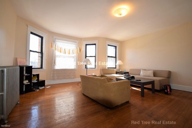 Foto del edificio - 221 Chestnut Hill Ave