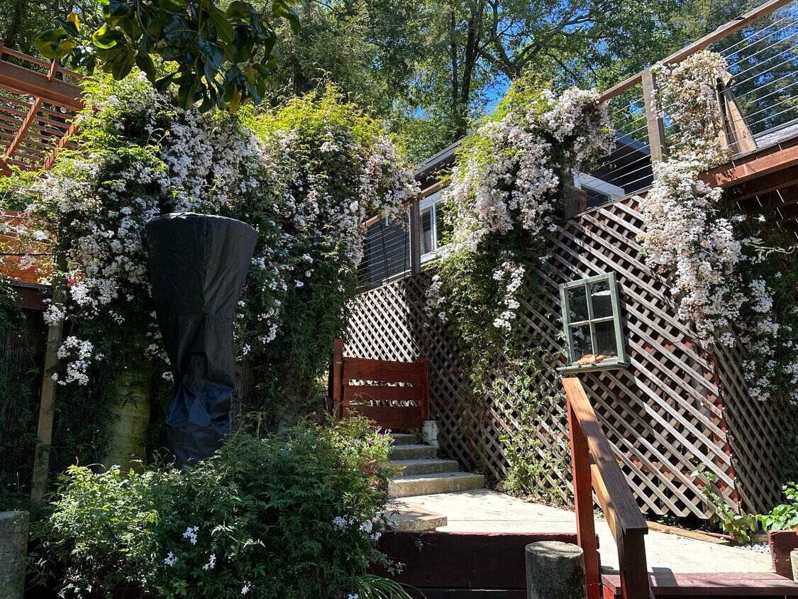 35 Forrest Ave, San Anselmo, CA 94960 House Rental in San Anselmo, CA