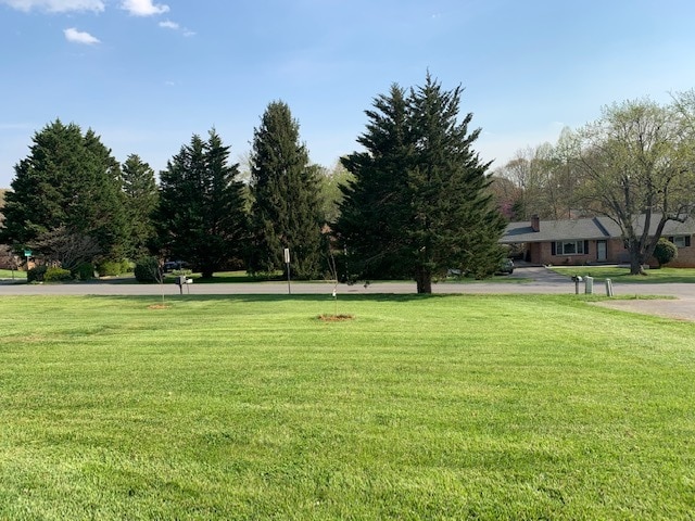Jardín delantero - 1507 Traylor Ln
