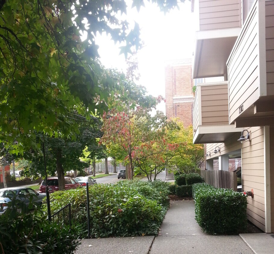 Primary Photo - 1503 18th Ave