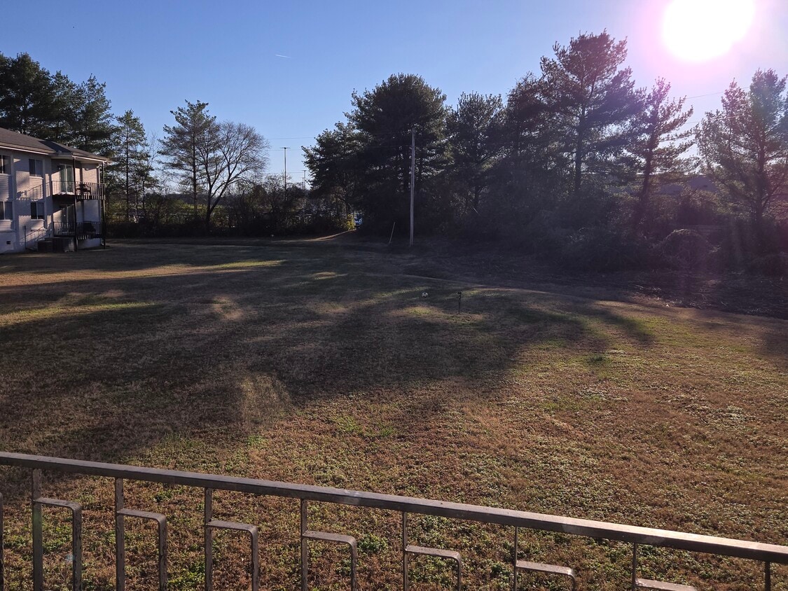 Patio trasero de la casa ejecutiva - 613 Hillsboro Rd