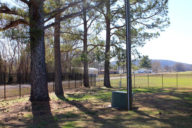 Building Photo - Town Creek Apartments