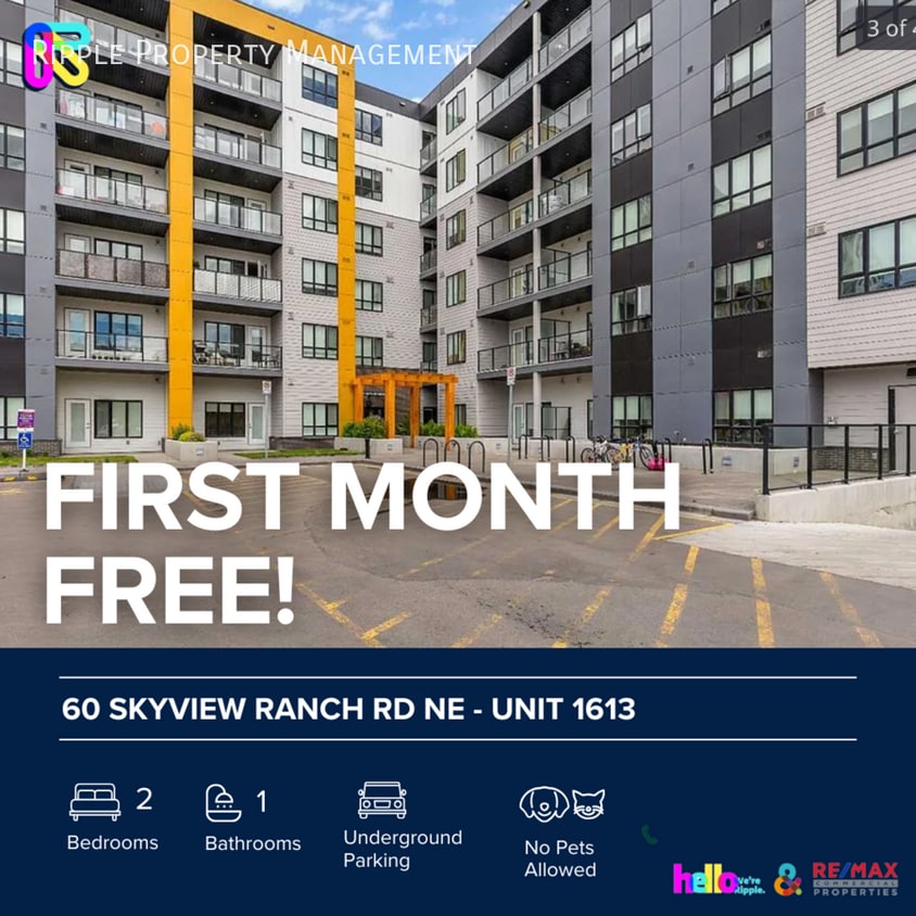 Primary Photo - Modern 2 Beds, 1 Baths Apartment/Condo | N...