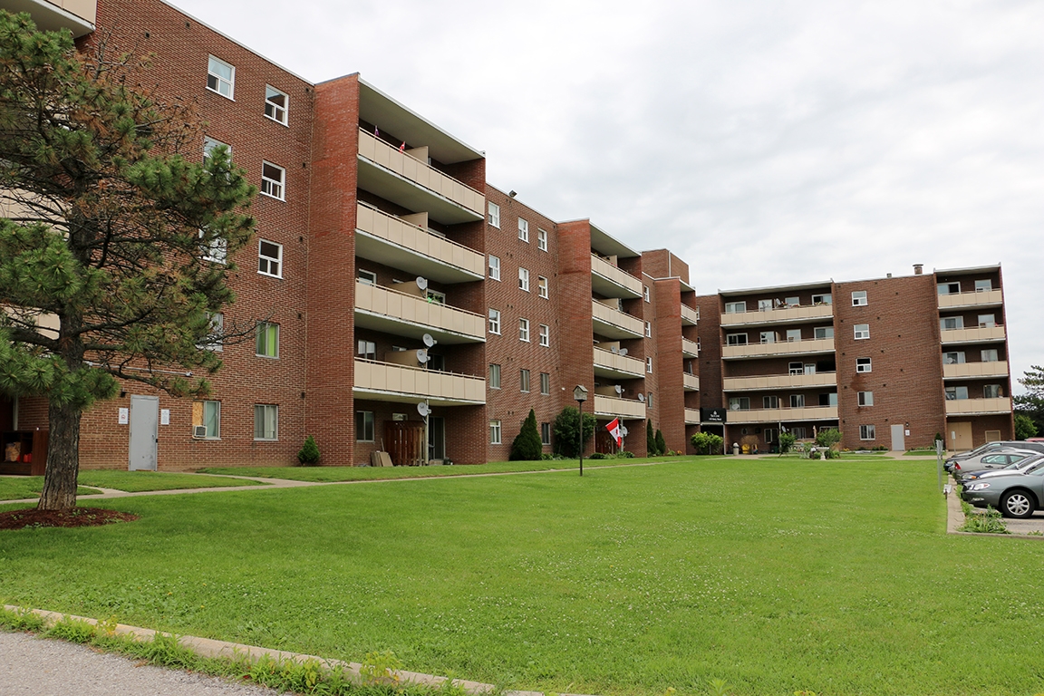 Photo principale - The Cedarview