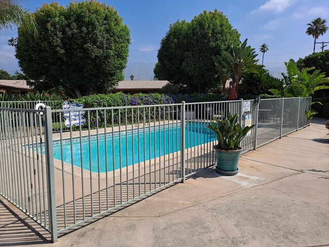 Courtyard Pool - 850 E Lynwood Dr