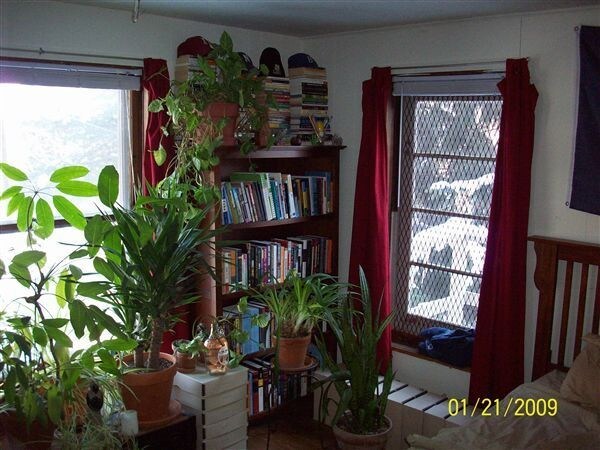 Foto del edificio - 123 N State St