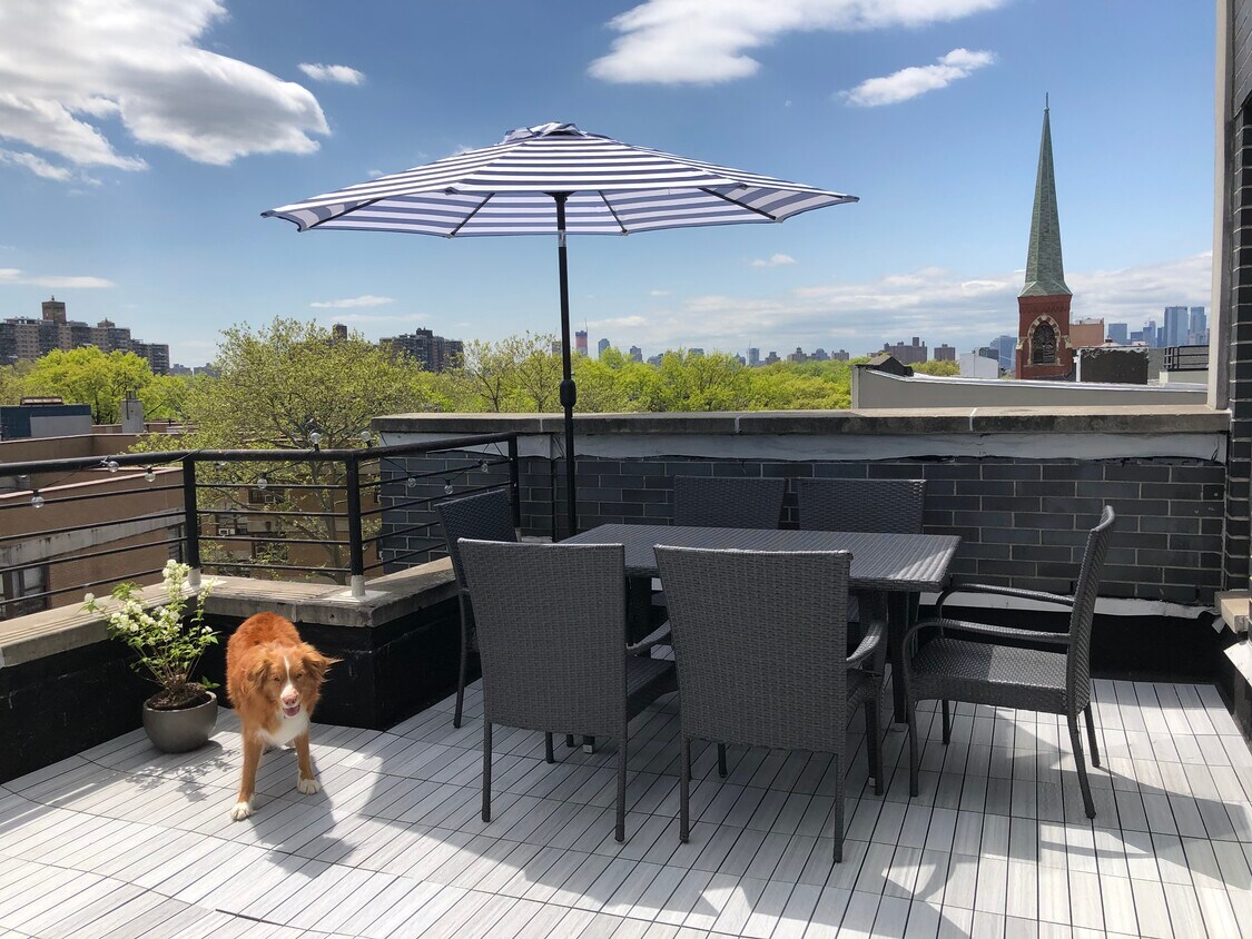 Large sunny terrace - 223 Maujer St