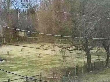 Foto del edificio - 50 Buckwalter Rd