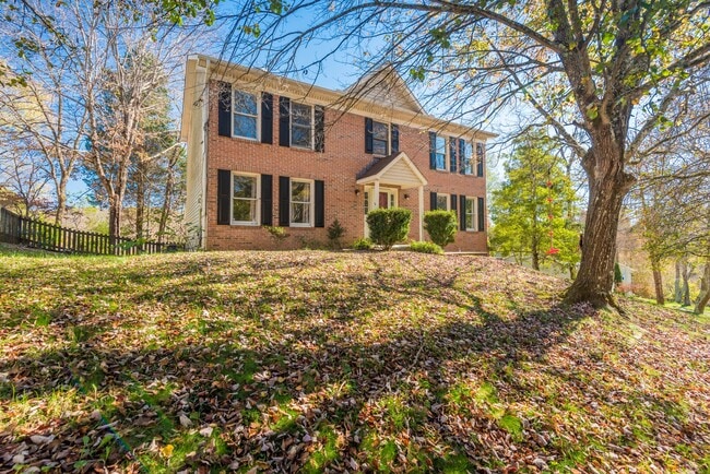 Building Photo - 420 Shelbyville Rd