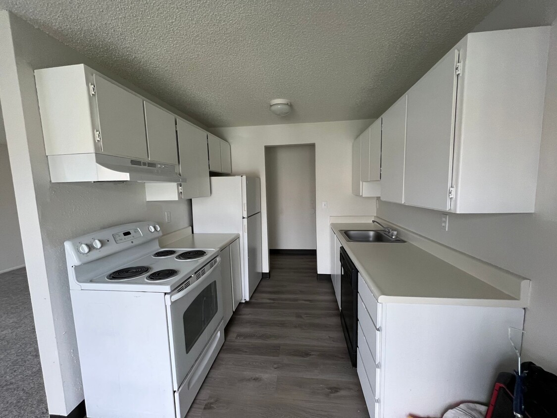 Primary Photo - Pine Tree Lane Apartments
