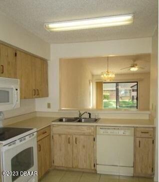 Building Photo - 104 Avocet Ct