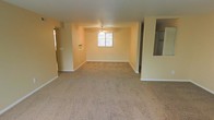 This single-floor residence offers a straightforward and functional layout designed for comfortable everyday living. The main living area is expansive and open, finished with wall-to-wall plush carpeting that adds warmth underfoot. A ceiling fan is centrally mounted overhead, providing both air circulation and a subtle focal point for the room. A window along the far wall allows natural light to filter in, brightening the neutral, beige-toned walls that give the space a clean and understated aesthetic. White baseboards frame the perimeter of the room, adding a crisp finishing detail. To one side, an open passthrough or half-wall connects the living area to the kitchen, allowing for an easy flow between spaces and an airy, connected feel. The kitchen area is partially visible and appears to include cabinetry and shelving. An additional doorway or hallway branching off from the main living space suggests access to further rooms, lending the overall layout a sense of depth and practicality. The space is move-in ready and presents a blank canvas well-suited for a variety of interior arrangements and personal styles.