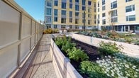 Located at 438 Rutherford Ave in Boston's Charlestown neighborhood, this outdoor space serves as a community garden integrated into the grounds of a contemporary multi-story residential building. The building's facade is distinctly modern, featuring a bold combination of yellow, gray, and white paneling with large windows that overlook the garden area below.

The garden is organized around a series of generously sized raised planting beds constructed from natural wood timber. These beds host a diverse mix of vegetables, herbs, and flowering plants, including leafy greens, root vegetables, and wildflowers, demonstrating active, productive use of the space. Gravel pathways wind between the beds, providing accessible circulation throughout the garden.

A notable architectural feature is the perforated metal screening that lines the perimeter of the space. These large panels, finished in a neutral tone, provide both privacy and wind protection while allowing light and air to filter through. The open-air layout takes full advantage of natural sunlight, creating a bright and productive growing environment. Seating areas are visible within the garden courtyard, offering residents a place to relax amid the greenery.
