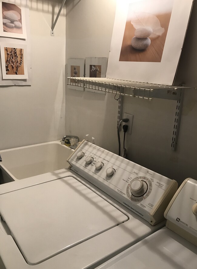 Laundry room/Storage area - 49730 Plymouth Way
