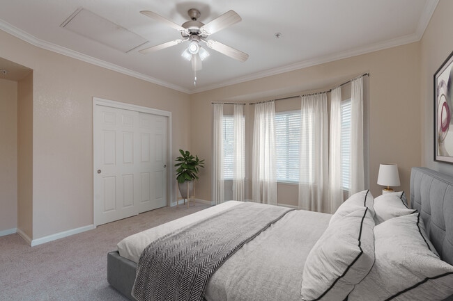 Bedroom View - Oak Park