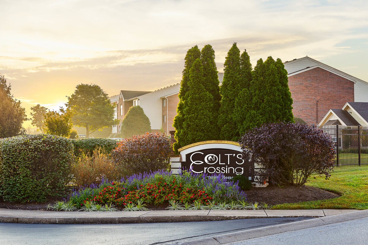 Colt's Crossing Apartments Apartments 159 Elkhorn Meadows Dr