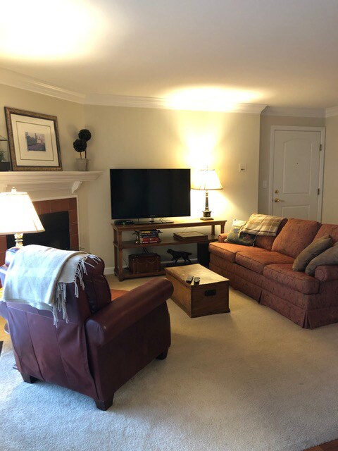 Family room with fireplace - 533 N Deer Run Dr
