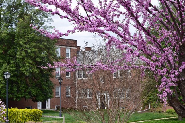 Foto del edificio - 1636 W Abingdon Dr