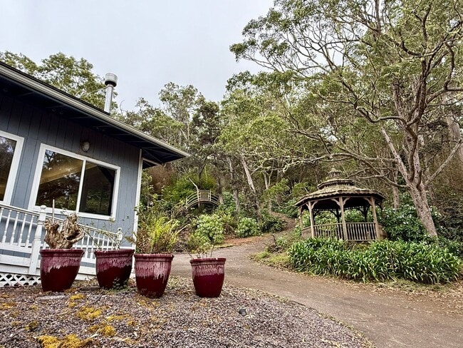 Building Photo - Forest Retreat at the Top of Kaloko