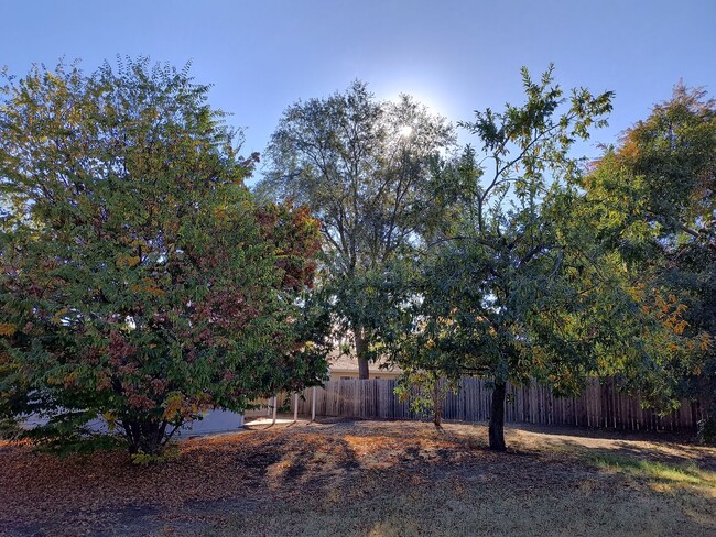 Building Photo - Country Ranch-Style In Fair Oaks