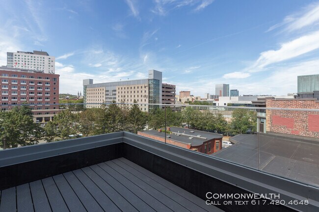 Foto del edificio - South End 2 bed Roof Deck 9/1