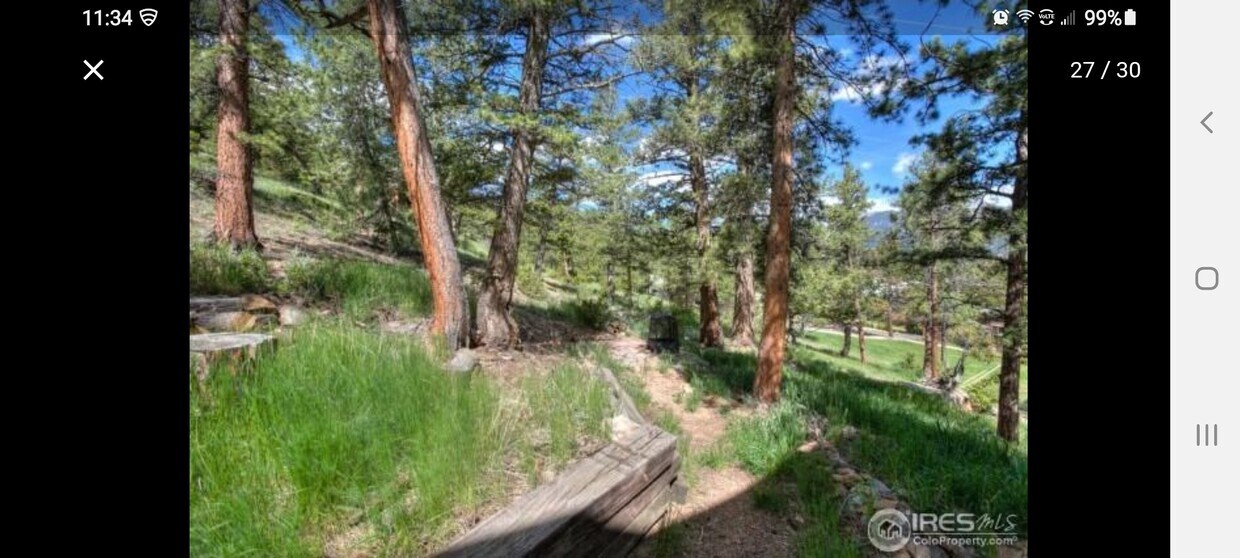 Foto principal - 517 Driftwood Ave