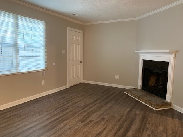 Building Photo - Newly Renovated Duplex in FIVE POINTS!!