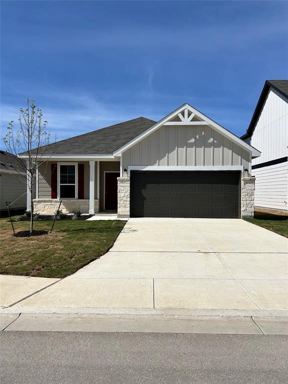 Foto principal - 2942 Tall Fescue