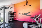 Located at 1630 Orchard Dr in Placentia, CA, this fitness center is a well-appointed, single-floor facility designed to support a comprehensive workout experience. The space is immediately distinguished by a bold, gradient mural spanning warm tones of yellow, orange, and pink, featuring a silhouette of an athlete in motion — creating an energizing and motivating atmosphere throughout the room.

The facility is equipped with a varied selection of cardio machines, including a treadmill and an elliptical trainer from Precor, positioned to allow comfortable use with ample surrounding space. A dedicated free weights area features multiple racks of dumbbells ranging across a wide weight spectrum, catering to users of all fitness levels. A heavy-duty power rack by Torque anchors the strength training zone, accompanied by a full set of Olympic weight plates, making it suitable for serious lifting.

Functional training is supported by a multi-use equipment rack stocked with kettlebells and medicine balls, as well as a TRX suspension training system mounted to the wall. Full-length mirrors along one wall expand the sense of space and allow users to monitor their form during workouts.

The room features vaulted ceilings with ceiling fans, a wall-mounted air conditioning unit, and large windows that invite natural light and views of the surrounding greenery, contributing to an open and comfortable training environment. Rubber flooring throughout ensures safety and durability.