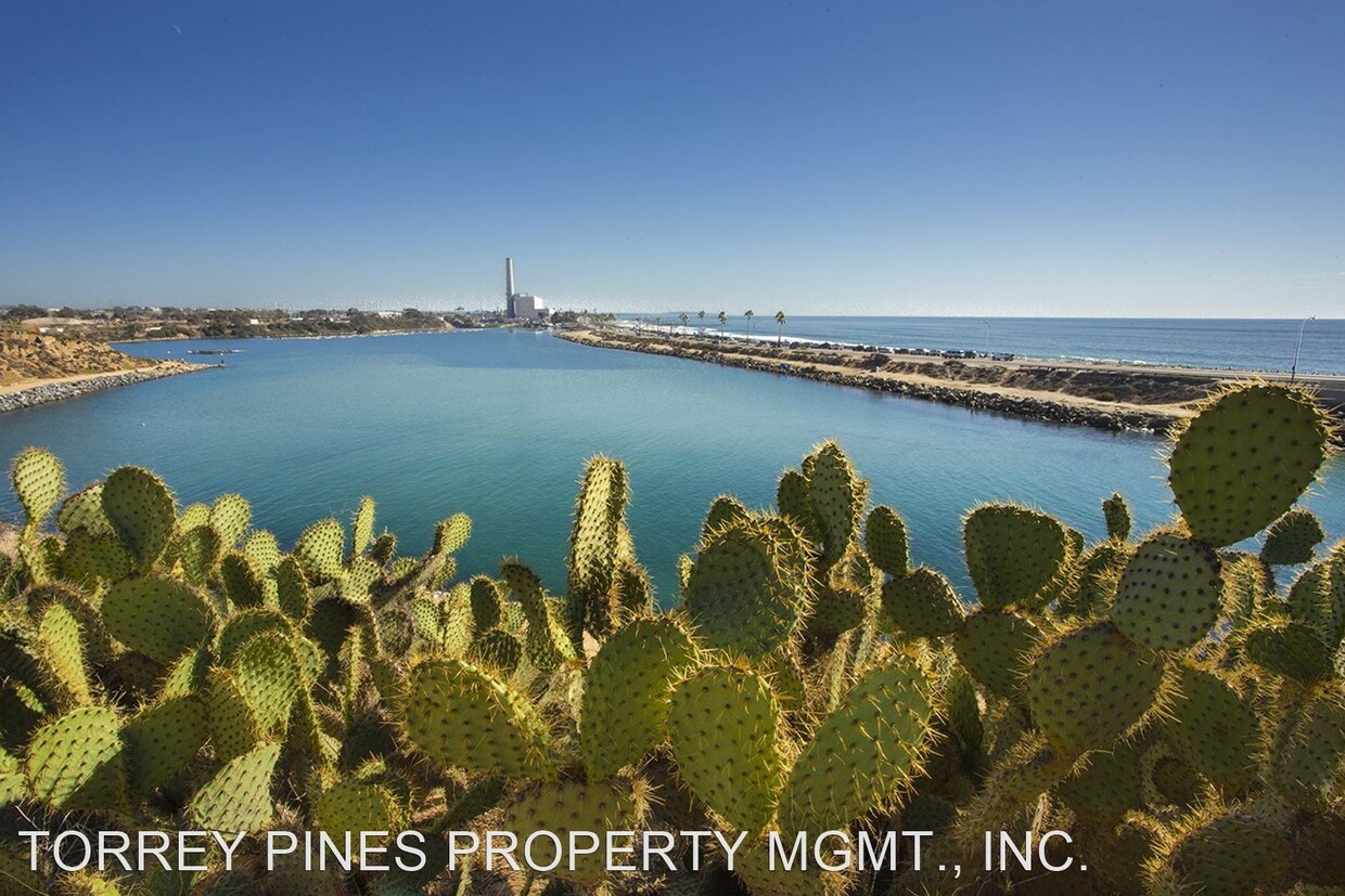 Foto principal - 350-370 Chinquapin Ave