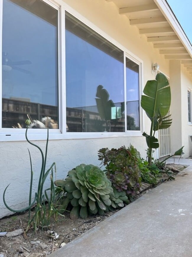 Building Photo - Coleen Ct | Newly Remodeled 2 Bedroom 1 Ba...