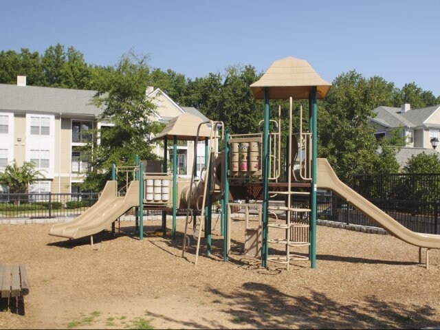 Área de juegos - Cavalier @ 100