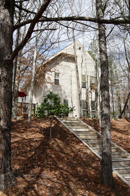 Foto principal - 379 Butternut Dr