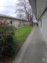 Apartments For Rent Apartments Com