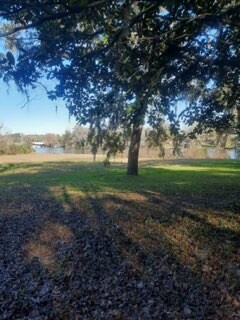 Foto del edificio - 2133 Hyde Park Rd