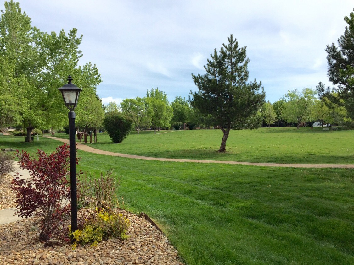 Foto principal - 4676 White Rock Circle