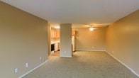 This single-floor residential unit offers a practical and functional layout designed for comfortable everyday living. The main living area is spacious and open, finished with wall-to-wall carpet flooring in a neutral beige tone that complements the warm, tan-painted walls throughout. A ceiling fan is centrally mounted, providing both lighting and airflow to the living space. The open floor plan connects seamlessly to the kitchen, which is partially separated by a structural column, adding subtle architectural definition between the two areas. The kitchen is well-equipped, featuring light wood cabinetry, white appliances including a refrigerator, and a dark-finish range, all set against a clean, light-colored countertop and smooth flooring. White baseboards run along the perimeter of the living area, providing a crisp contrast to the carpeted floors and neutral walls. The overall ambiance is calm and understated, with a cohesive color palette of beige and warm neutrals creating a welcoming atmosphere. The open connectivity between the living and kitchen areas makes the space feel airy and versatile, well-suited for a variety of furnishing arrangements and everyday use.