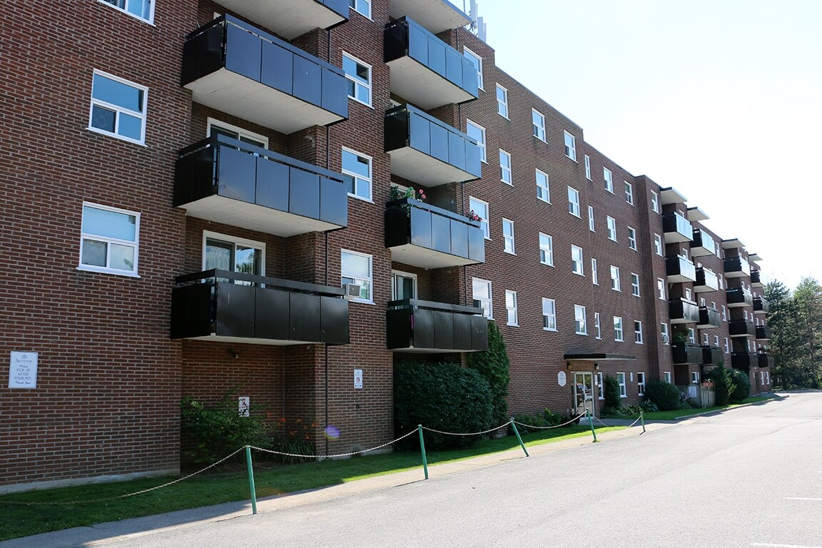 Photo principale - Town & Country Apartments