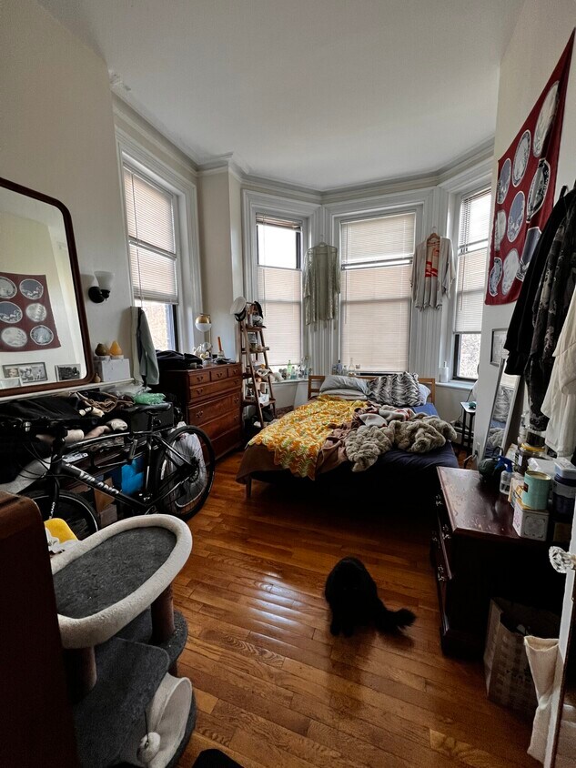 Foto del edificio - 242 Shawmut Ave