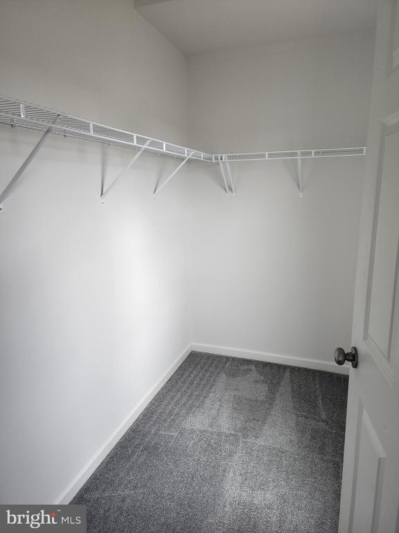 Building Photo - 307 Starry Way Dr