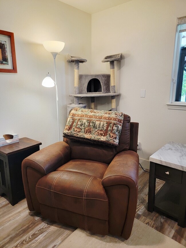Comfy recliner - 10301 Wolf Dr