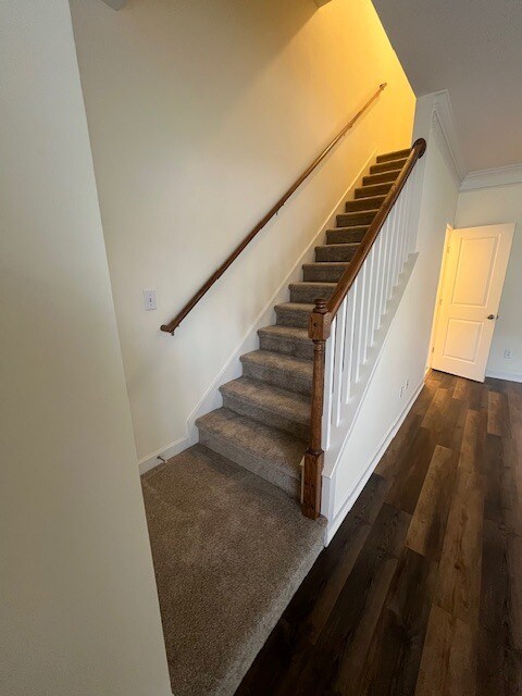 Escaleras de la sala de estar - 3224 Lincoya Creek Dr