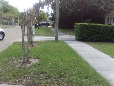 Photo - 1104 Mt Vernon St House