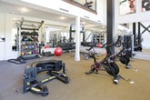 Located at 2999 Circle 75 Pkwy SE in Atlanta, Georgia, this fitness center is designed to support a wide range of workout routines within a spacious, single-level layout. The facility is defined by its soaring double-height ceilings and dramatic architectural detailing, including bold, X-shaped structural beams that serve as a striking visual focal point along one wall. Large windows throughout the space flood the interior with natural light and offer views of the surrounding greenery, creating an energizing atmosphere.

The cardio zone features a selection of treadmills, ellipticals, and stationary cycling bikes positioned to take advantage of the natural light and outdoor views. A dedicated strength and functional training area is equipped with a cable machine, weight rack, adjustable dumbbells, kettlebells, medicine balls, resistance bands, TRX suspension trainers, and stability balls. A heavy tire for functional training adds to the versatility of the space.

Full-length mirrors line portions of the walls, enhancing the sense of openness. The flooring transitions between rubberized and carpeted surfaces across different zones, and recessed lighting supplements the natural light. The facility is accessible via double exit doors, ensuring convenient entry and egress.