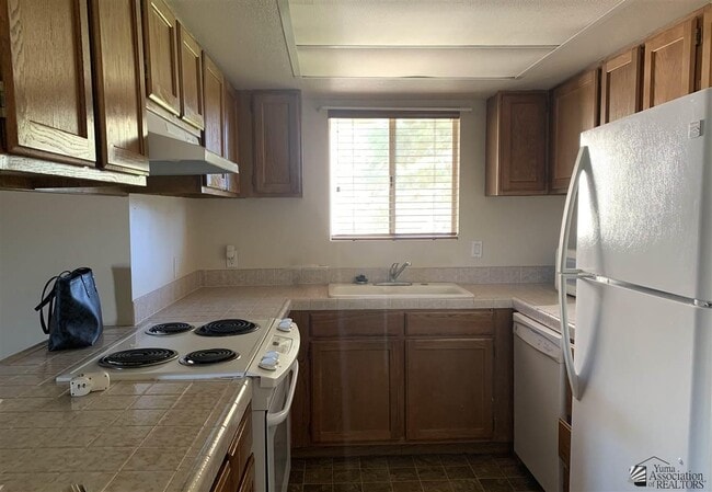 Building Photo - 10642 S Camino Del Sol
