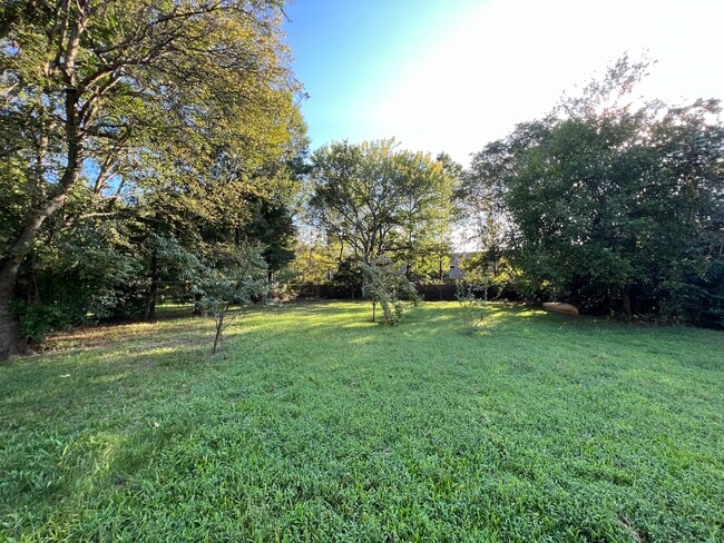 Back Yard - 1631 Rosedale St