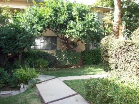 Primary Photo - 1905 N Las Palmas Ave