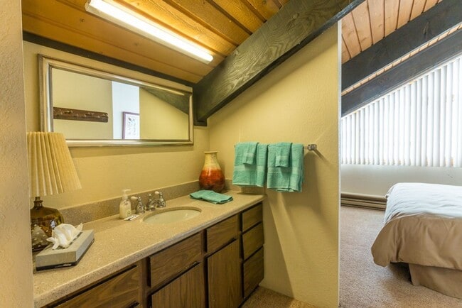 Foto del edificio - 2 bedroom/2 bathroom condo in Mount Crested Butte