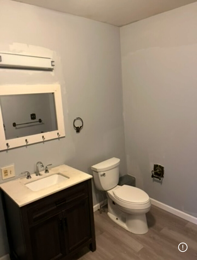 Remodeled toilet - 534 Hamilton St