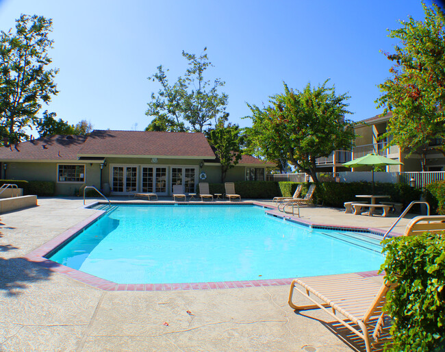 Swimming pool - 1161 Packers Cir
